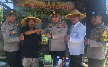 Bantuan Sarana Pertanian Dukung Peningkatan Produksi Pangan Lokal
